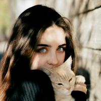 Now My Cat Loves Brushing