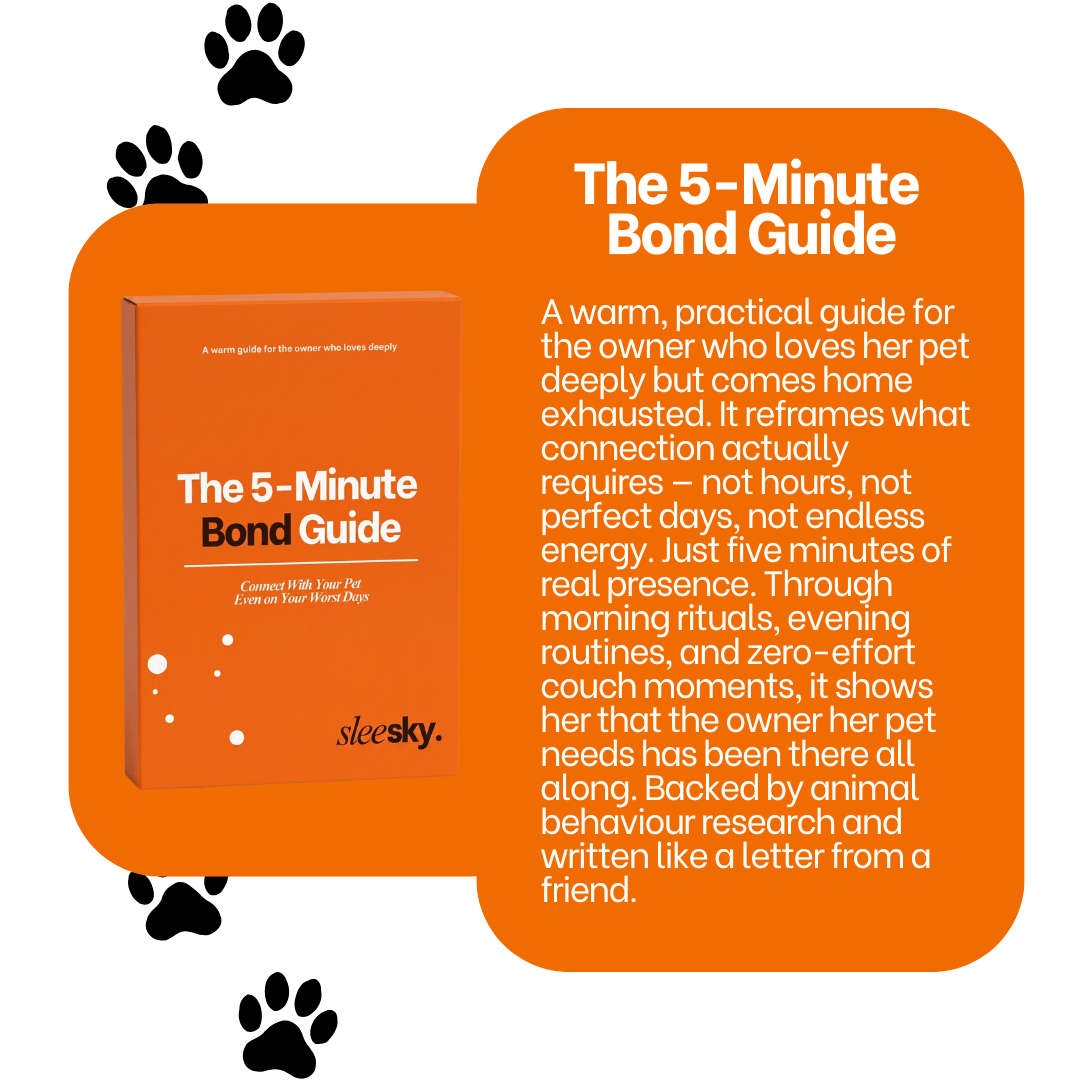 Ebook Bundle
