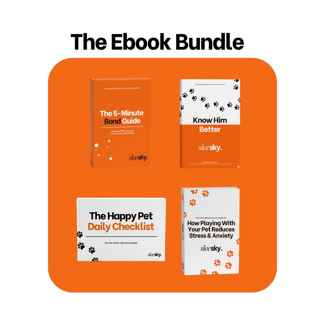 Ebook Bundle